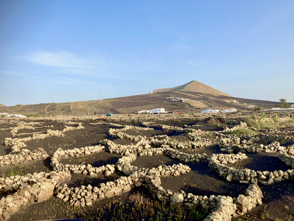 Lanzarote, Island Of Volcanic Craters And Wildlife