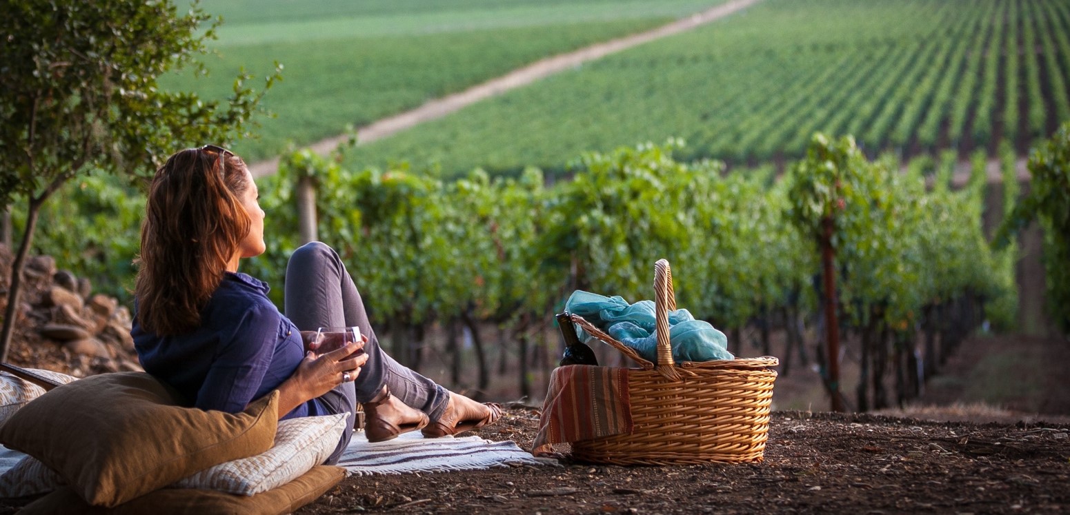 5 Best Wineries in Sonoma and Places to Stay