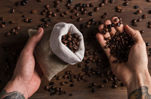 The Craft Behind Freshly Roasted Coffee Experiences