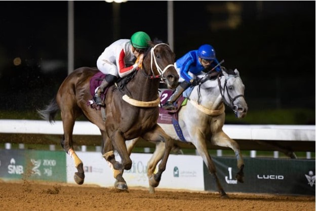 How To Read A Hyderabad Horse Race Card Like A Regular